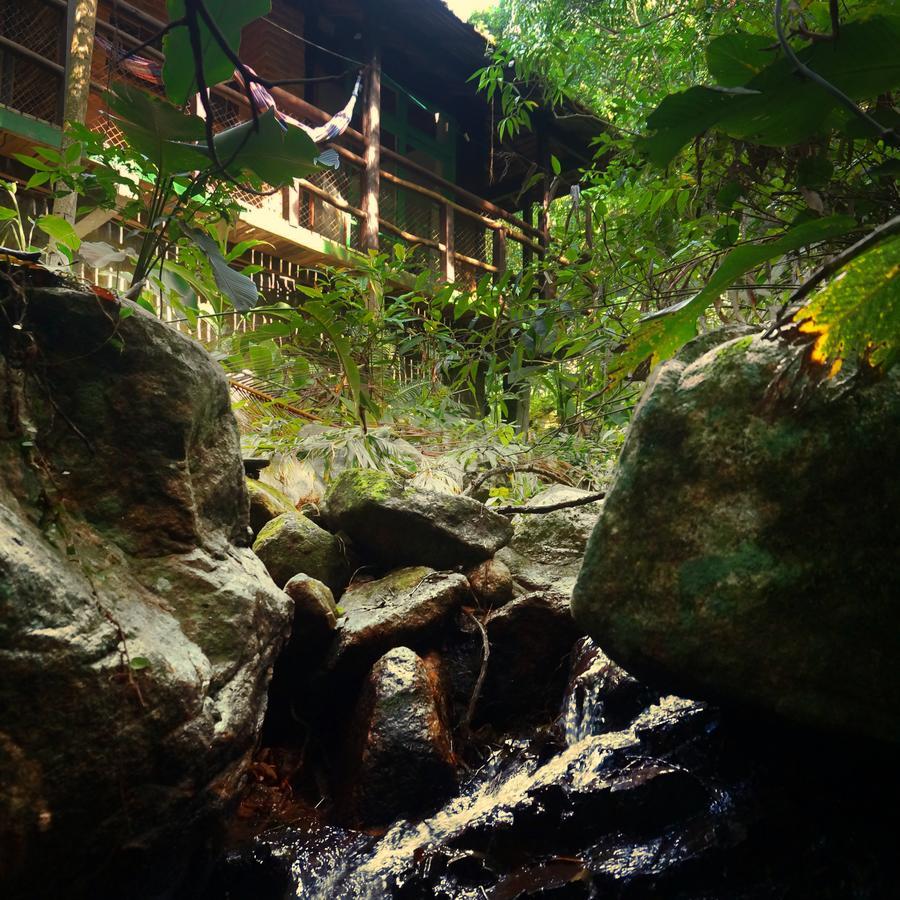 Pousada Sitio Dos Tucanos Florianópolis Dış mekan fotoğraf