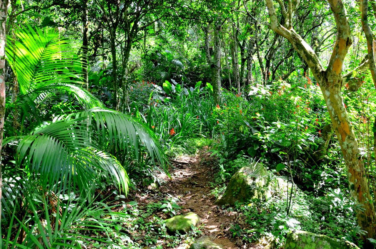 Pousada Sitio Dos Tucanos Florianópolis Dış mekan fotoğraf
